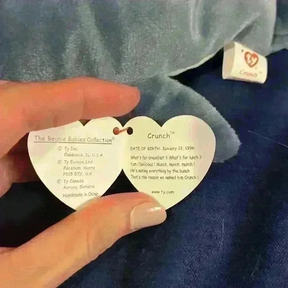 Ty Beanie Baby Crunch - Picture 2 of 5
